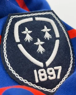 Het Klassieke Gebreide Rugbyshirt Van 100% Katoen