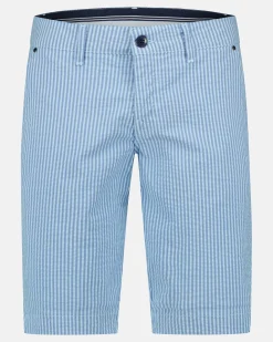 Nantes Seersucker Bachelor Button